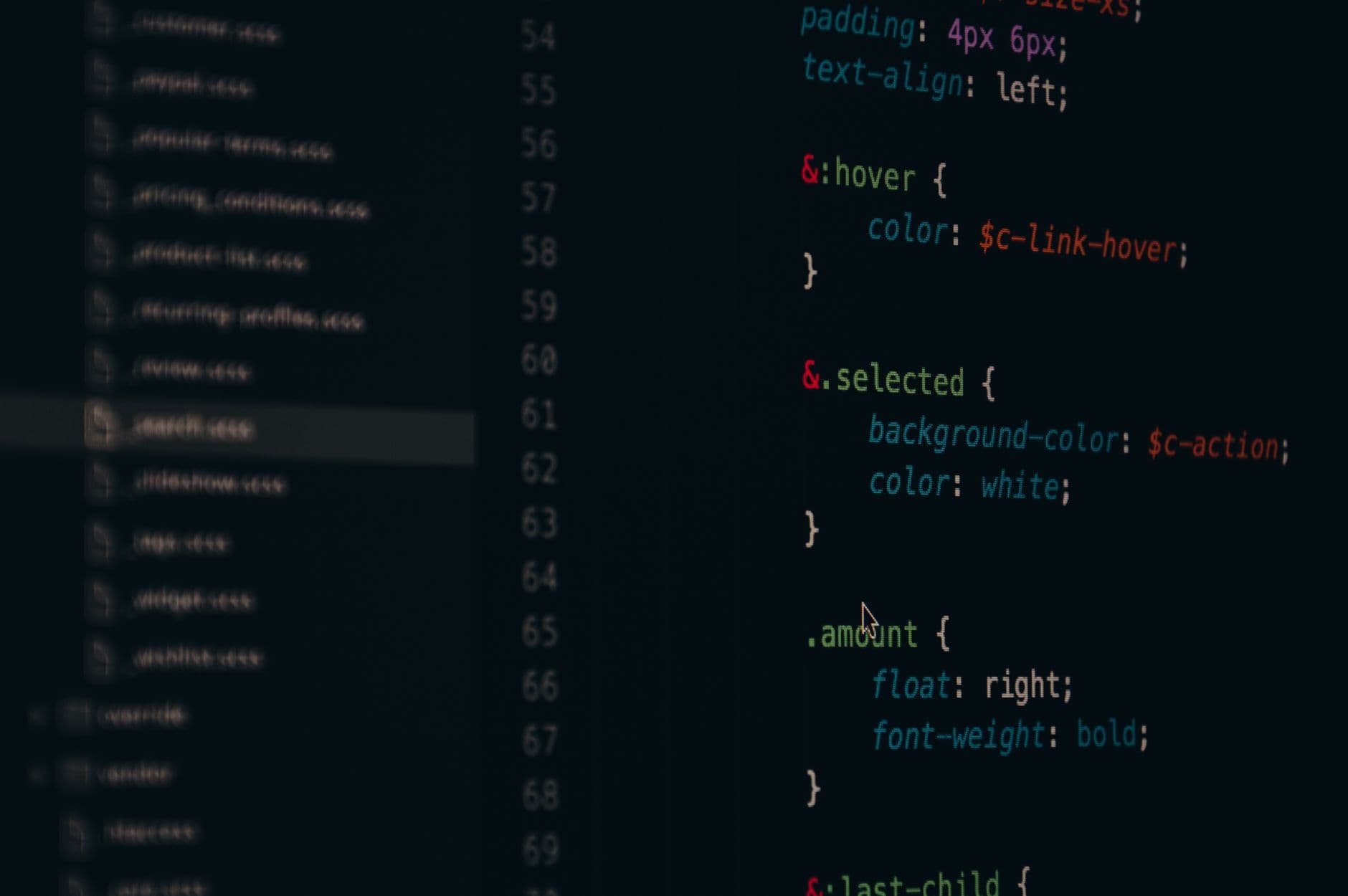 Software Development & Integration