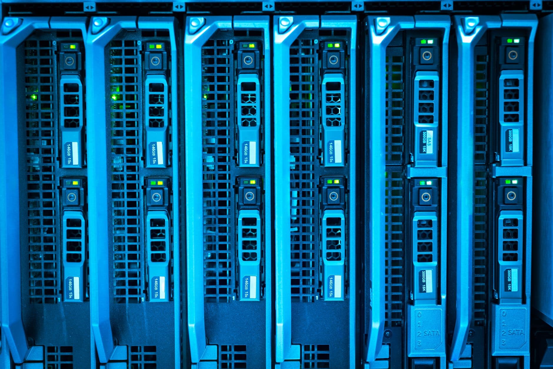 IT Services & Network Infrastructure
